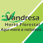 floricultura vandressa