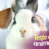 Teste em animais